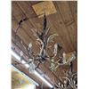 Image 13 : Gorgeous 6 Light Fallow Deer Antler Chandelier