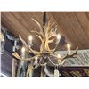 Image 1 : Gorgeous 6 Light Fallow Deer Antler Chandelier