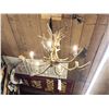 Image 2 : Gorgeous 6 Light Fallow Deer Antler Chandelier