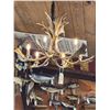 Image 3 : Gorgeous 6 Light Fallow Deer Antler Chandelier