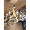 Image 4 : Gorgeous 6 Light Fallow Deer Antler Chandelier
