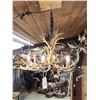 Image 5 : Gorgeous 6 Light Fallow Deer Antler Chandelier