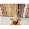 Image 4 : Giraffe Leg Pub Height Table Taxidermy