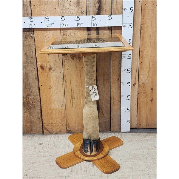 Giraffe Leg Pub Height Table Taxidermy