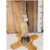 Image 5 : Giraffe Leg Pub Height Table Taxidermy