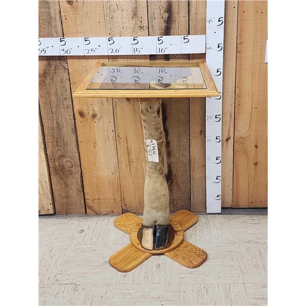 Giraffe Leg Pub Height Table Taxidermy