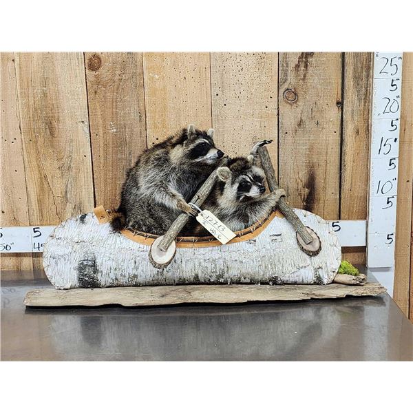 2 Raccoons In A Birch Bark Canoe Taxidermy