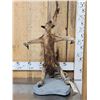 Image 1 : Tamandua Ant Eater Full Body Taxidermy Mount