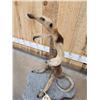 Image 5 : Tamandua Ant Eater Full Body Taxidermy Mount
