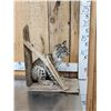 Image 4 : Juvenile Bobcat Full Body Taxidermy Mount