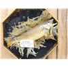 Image 2 : Brown Trout Jumping Real Skin Fish Taxidermy