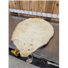 Image 4 : Big Beaver Soft Tanned Fur Taxidermy