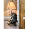 Image 4 : Raccoon Lamp Full Body Taxidermy Mount