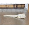 Image 1 : 13" Gar Fish Skull Taxidermy