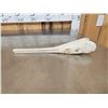 Image 2 : 13" Gar Fish Skull Taxidermy