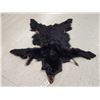 Image 1 : Tanned Black Bear Fur Taxidermy