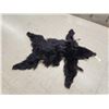 Image 2 : Tanned Black Bear Fur Taxidermy