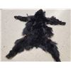 Image 3 : Tanned Black Bear Fur Taxidermy