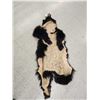 Image 5 : Tanned Black Bear Fur Taxidermy