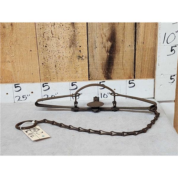 Newhouse Oneida #4 Double Long Spring Trap