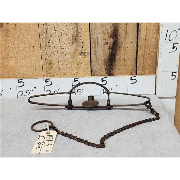 Newhouse Oneida #4 Double Long Spring Trap