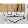 Image 1 : Newhouse Oneida #4 Double Long Spring Trap