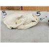 Image 3 : 3 Black Bear Skulls &9 Claws Taxidermy