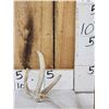 Image 3 : Unique 3 Point Wild Iowa Whitetail Shed Antler