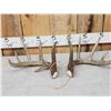 Image 1 : Set Of Main Frame 5x5 Canadian Whitetail Shed Antlers