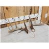 Image 3 : Set Of Main Frame 5x5 Canadian Whitetail Shed Antlers