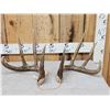 Image 1 : Gorgeous 4x5 Set Of Canadian Whitetail Shed Antlers