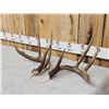 Image 2 : Gorgeous 4x5 Set Of Canadian Whitetail Shed Antlers