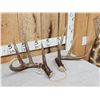 Image 3 : Gorgeous 4x5 Set Of Canadian Whitetail Shed Antlers