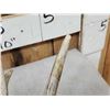 Image 3 : 140 Class Set Of Canadian Whitetail Shed Antlers