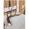 Image 2 : Set Of Main Frame 4x5 Canadian Whitetail Shed Antlers