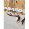 Image 3 : Set Of Main Frame 4x5 Canadian Whitetail Shed Antlers