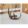 Image 5 : 80" Class Canadian Whitetail Shed Antler