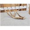 Image 2 : 80" Class Typical 5 Point Canadian Whitetail Shed Antler