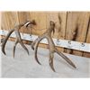Image 6 : Gorgeous Set Of 5x7 Mule Deer Shed Antlers