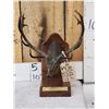 Image 1 : Allan Schwindt Rocky Mountain Elk Foundation Bronze Boone & Crockett #1