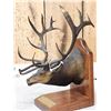 Image 3 : Allan Schwindt Rocky Mountain Elk Foundation Bronze Boone & Crockett #1