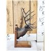 Image 3 : James Stafford Rocky Mountain Elk Foundation Bronze Boone & Crockett #2