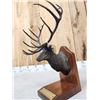 Image 7 : James Stafford Rocky Mountain Elk Foundation Bronze Boone & Crockett #2
