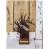 Image 1 : Dennis Jones Rocky Mountain Elk Foundation Bronze Boone & Crockett #3