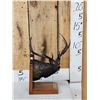 Image 3 : Dennis Jones Rocky Mountain Elk Foundation Bronze Boone & Crockett #3