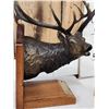 Image 4 : Dennis Jones Rocky Mountain Elk Foundation Bronze Boone & Crockett #3
