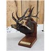 Image 5 : Dennis Jones Rocky Mountain Elk Foundation Bronze Boone & Crockett #3