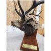 Image 6 : Dennis Jones Rocky Mountain Elk Foundation Bronze Boone & Crockett #3