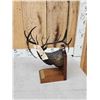 Image 7 : Dennis Jones Rocky Mountain Elk Foundation Bronze Boone & Crockett #3