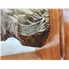 Image 8 : Dennis Jones Rocky Mountain Elk Foundation Bronze Boone & Crockett #3